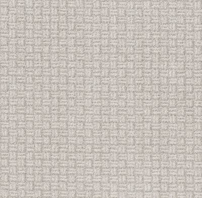 Shaw Floors Pet Perfect Plus Soothing Surround Winters Dawn 00102_5E275