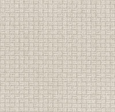 Shaw Floors Pet Perfect Plus Soothing Surround Washed Linen 00103_5E275
