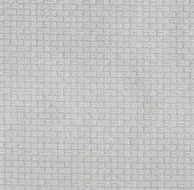 Shaw Floors Pet Perfect Plus Soothing Surround Reflection 00400_5E275