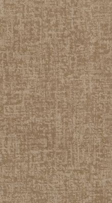 Anderson Tuftex Fine Structure Natural Beauty 00721_CC69B