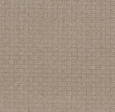Shaw Floors Pet Perfect Plus Soothing Surround Beige Bisque 00110_5E275