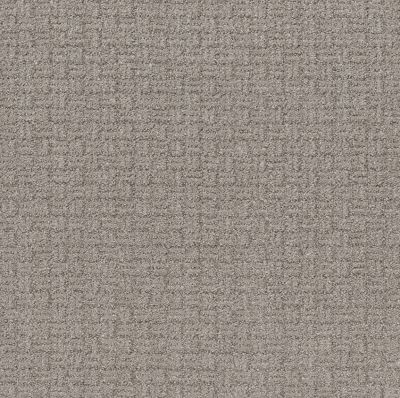 Shaw Floors Pet Perfect Plus Soothing Surround Newstone Haven 00502_5E275