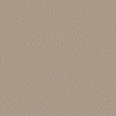 Shaw Floors PET PERFECT Affirmation I Loft Light 00104_5E794
