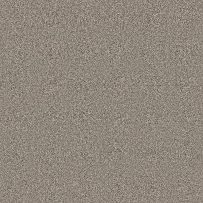 Shaw Floors PET PERFECT Affirmation I Bistro 00111_5E794
