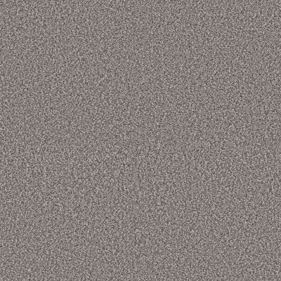 Shaw Floors PET PERFECT Affirmation I Lunar Surface 00500_5E794