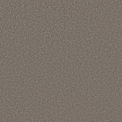 Shaw Floors PET PERFECT Affirmation I Granite 00513_5E794