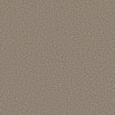 Shaw Floors PET PERFECT Affirmation I Midtown 00711_5E794