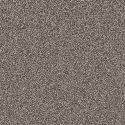 Shaw Floors PET PERFECT Affirmation I Creek Bend 00712_5E794