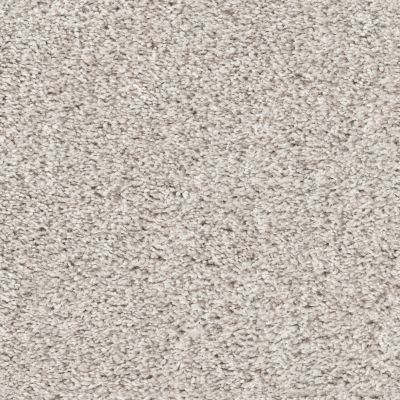 Shaw Floors Pet Perfect Plus CALM SERENITY I Serene Still 00101_5E270