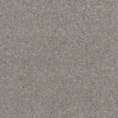 Shaw Floors Pet Perfect Plus CALM SERENITY I Split Sediment 00104_5E270
