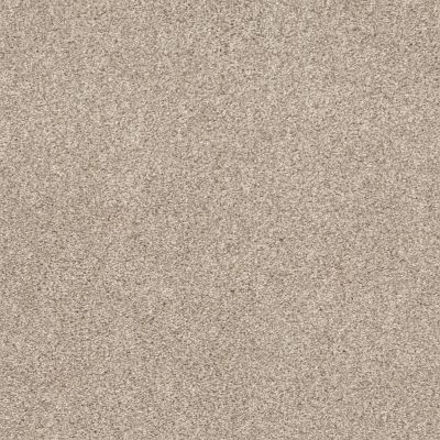 Shaw Floors Pet Perfect Plus CALM SERENITY I Kidskin 00109_5E270