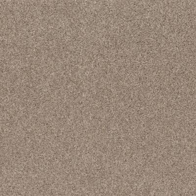Shaw Floors Pet Perfect Plus CALM SERENITY I Beige Bisque 00110_5E270