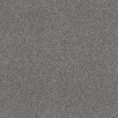 Shaw Floors Pet Perfect Plus CALM SERENITY I Harbor Dock 00503_5E270