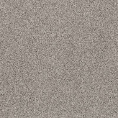 Shaw Floors Pet Perfect Plus CALM SERENITY I River Run 00700_5E270