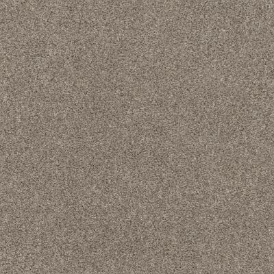 Shaw Floors Pet Perfect Plus CALM SERENITY I Desert View 00701_5E270