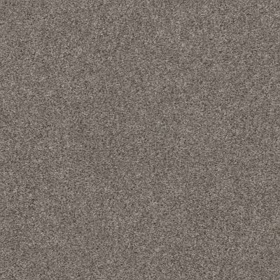 Shaw Floors Pet Perfect Plus CALM SERENITY I Dark Maple 00702_5E270