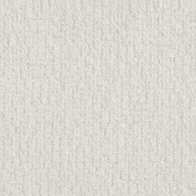 Shaw Floors Pet Perfect Plus Emergence Net Super Fine 00100_5E017