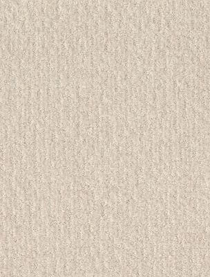Shaw Floors Pet Perfect Plus Emergence Net Snow Fall 00101_5E017