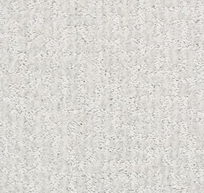 Shaw Floors Pet Perfect Plus Emergence Net Mist 00107_5E017