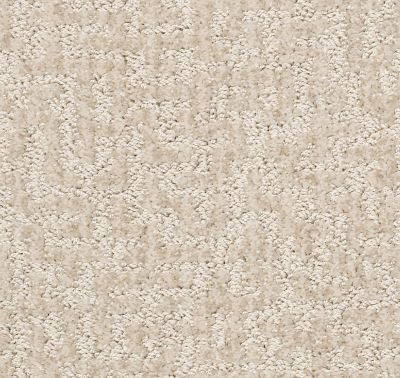 Shaw Floors Pet Perfect Plus Emergence Net Eggshell 00102_5E017