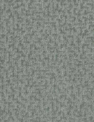 Shaw Floors Pet Perfect Plus Emergence Net Sea Glass 00300_5E017