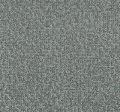 Shaw Floors Pet Perfect Plus Emergence Net Peaceful 00400_5E017