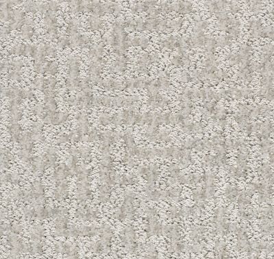 Shaw Floors Pet Perfect Plus Emergence Net Sterling 00501_5E017