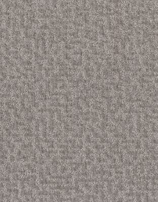 Shaw Floors Pet Perfect Plus Emergence Net Platinum 00500_5E017