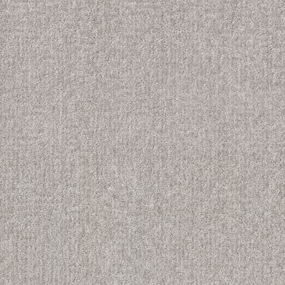 Shaw Floors Pet Perfect Plus Emergence Net Dew 00106_5E017
