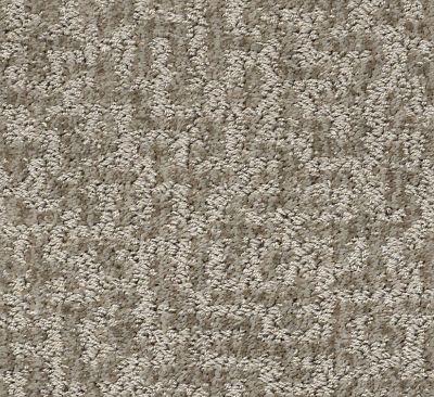 Shaw Floors Pet Perfect Plus Emergence Net Flax 00502_5E017