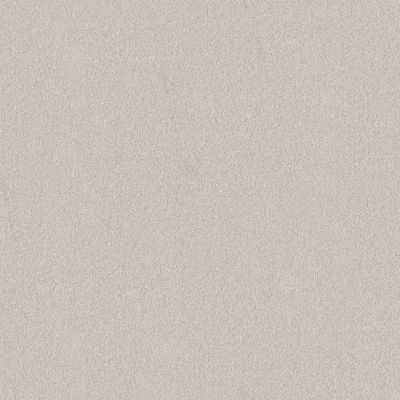 Shaw Floors PET PERFECT PLUS Blended Touch I Kashmir White 00130_5E885