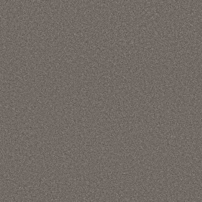 Shaw Floors PET PERFECT PLUS Blended Touch I Baltic Brown 00733_5E885