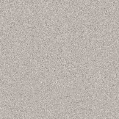 Shaw Floors PET PERFECT Grand Influence I London Fog 00115_5E902