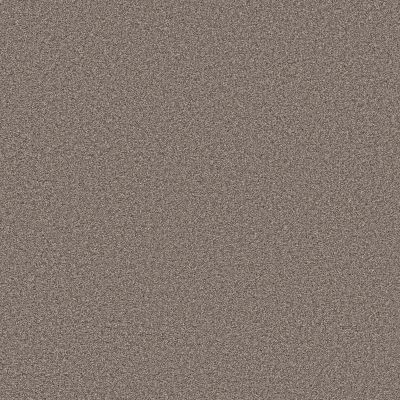 Shaw Floors PET PERFECT Grand Influence I Mushroom 00118_5E902