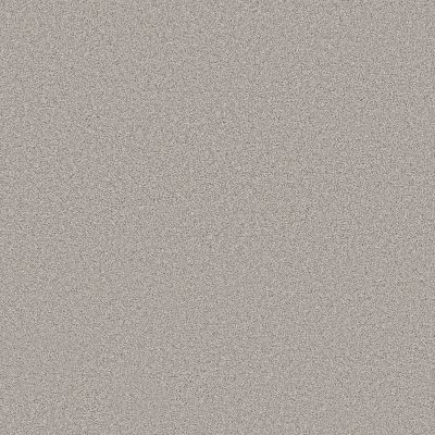 Shaw Floors PET PERFECT Grand Influence I Gentle Wind 00121_5E902