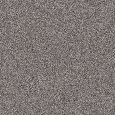 Shaw Floors PET PERFECT Grand Influence I Charcoal Luster 00520_5E902