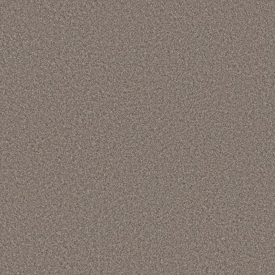 Shaw Floors PET PERFECT Grand Influence I Castle Rock 00523_5E902