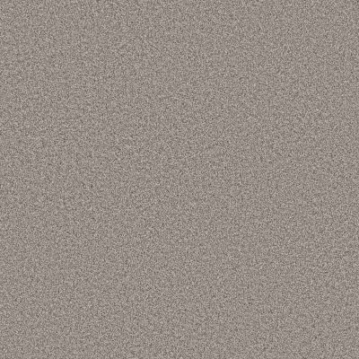 Shaw Floors PET PERFECT Grand Influence I Platinum 00533_5E902