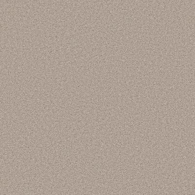Shaw Floors PET PERFECT Grand Influence I Pebble 00720_5E902