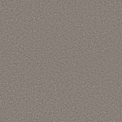 Shaw Floors PET PERFECT Grand Influence I Earth Tone 00721_5E902