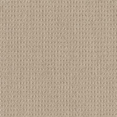 Anderson Tuftex Truly Delightful Textured Loop Shortbread 00711_ZZ094