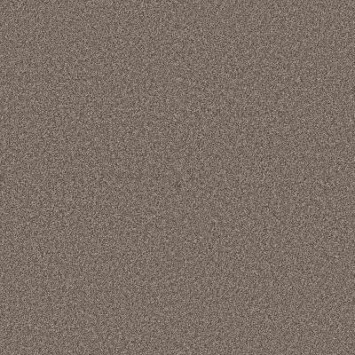 Anderson Tuftex PET PERFECT PLUS Kaleidoscope Natural Stone 00172_ZZ255