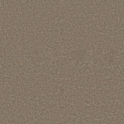 Anderson Tuftex PET PERFECT PLUS Kaleidoscope Shimmering 00200_ZZ255