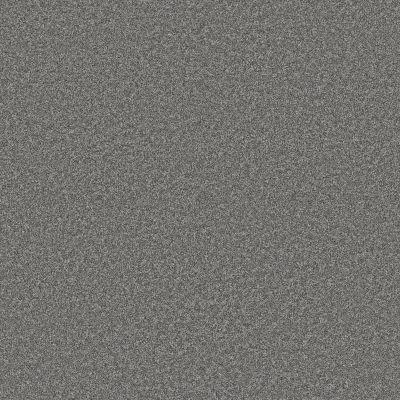 Anderson Tuftex PET PERFECT PLUS Kaleidoscope Seafoam 00434_ZZ255