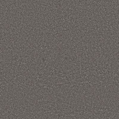 Anderson Tuftex PET PERFECT PLUS Kaleidoscope Rustic Tan 00503_ZZ255