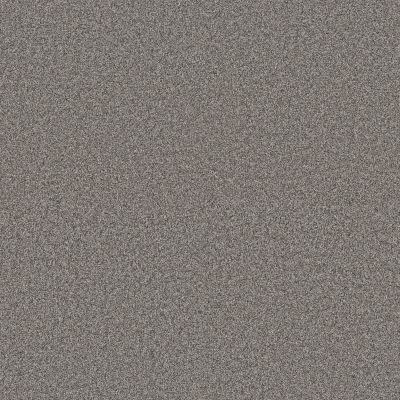 Anderson Tuftex PET PERFECT PLUS Kaleidoscope Element 00513_ZZ255