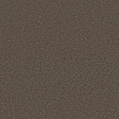 Anderson Tuftex PET PERFECT PLUS Kaleidoscope Earthen Brick 00658_ZZ255