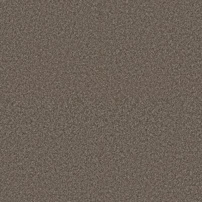 Anderson Tuftex PET PERFECT PLUS Kaleidoscope Open Range 00755_ZZ255