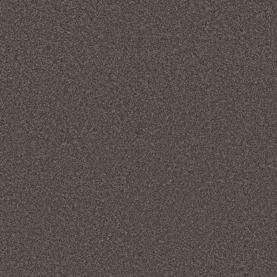 Anderson Tuftex PET PERFECT PLUS Kaleidoscope Espresso 00758_ZZ255