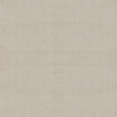 Anderson Tuftex PET PERFECT PLUS Lyric Balanced 00121_ZZ257